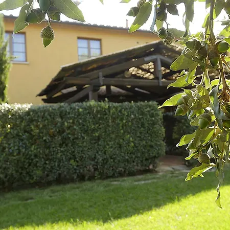 Il Pelago Castagneto Carducci