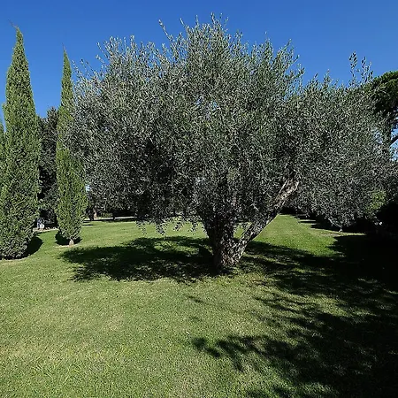 Il Pelago Alloggio per agriturismo *